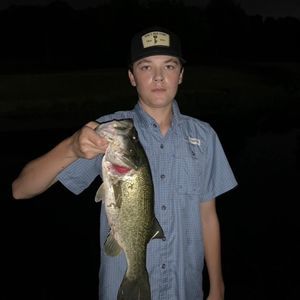 Meet your Posher, Colby